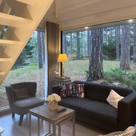 게스트하우스 La Forestiere - Face Au 10