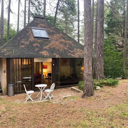 La Forestiere - Face Au 10